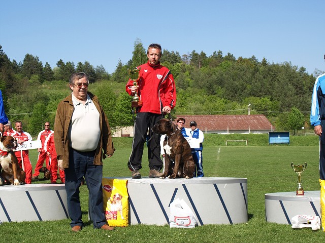 www.atibox.net * www.euroboxer.eu * www.boxergenealogia.eu